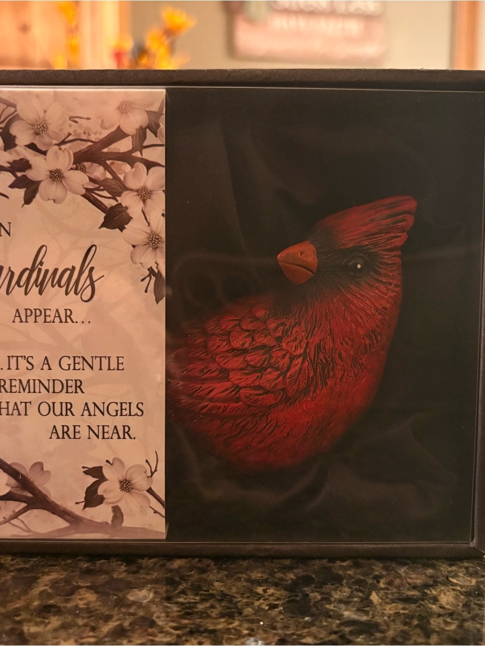 Red Cardinal for Loss of a Loved One